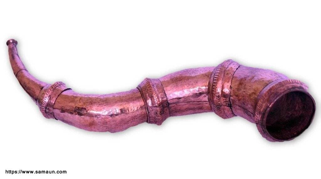 ransingha